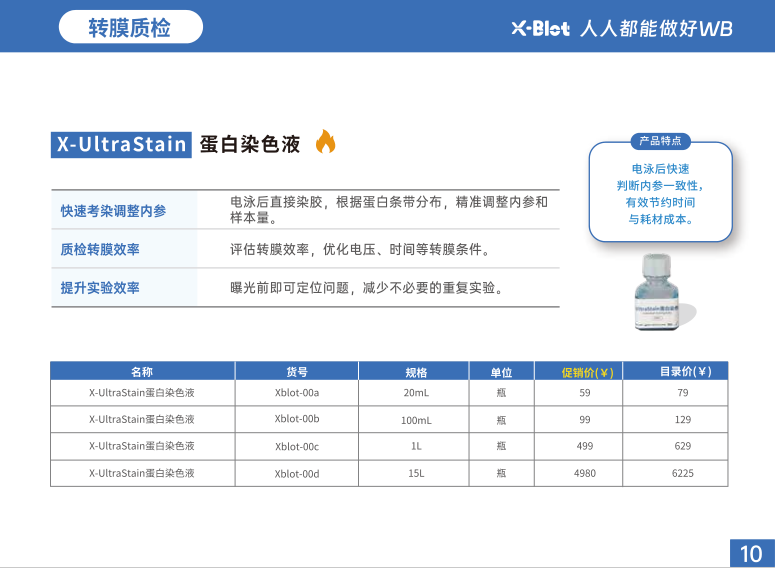 转膜质检蛋白染色液